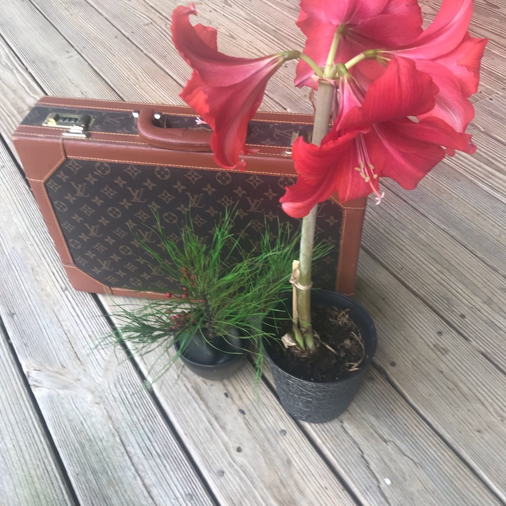Briefcase